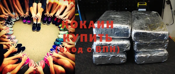 стафф Богданович