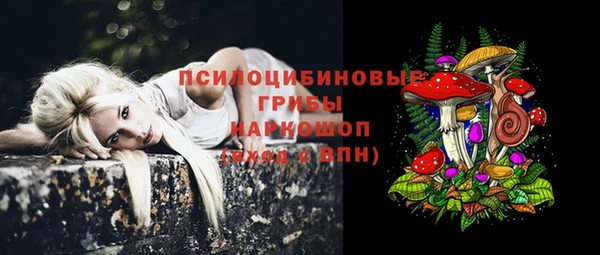 jwh Верея