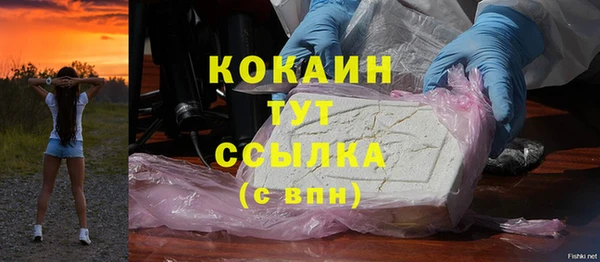 стафф Богданович
