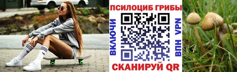 Галлюциногенные грибы прущие грибы  Ессентукская 